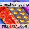 Ziyinzhuangyang new01